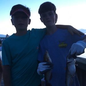 Meet your Posher, Thomas